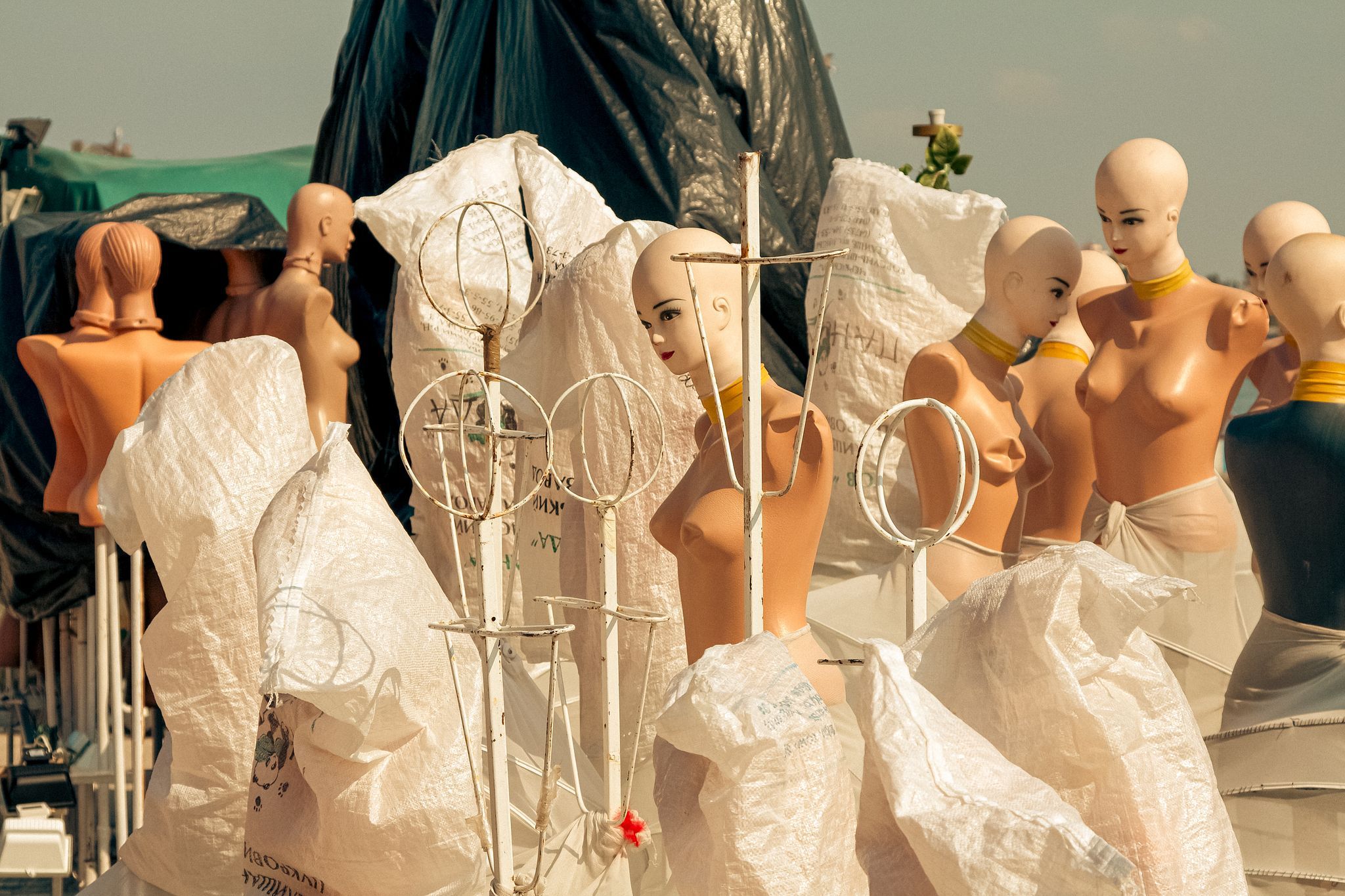 Photographie de rue — Nikol Dziub